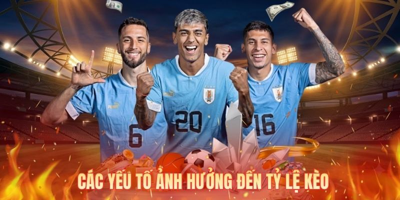Các yếu tố ảnh hưởng đến tỷ lệ kèo